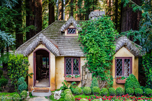 Small House in the Redwoods