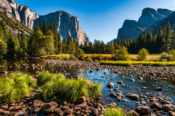 Yosemite National Park Film