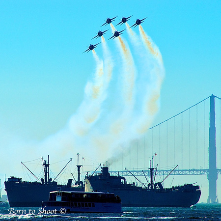 Blue Angels and Golden Gate