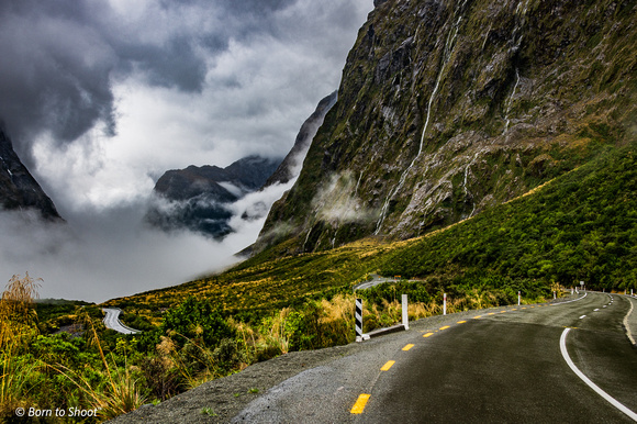 Road to  Milford Sound - New Zealand
