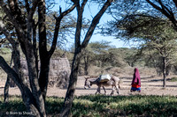 Maasai Village - Tanzania