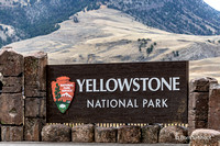Yellowstone & Tetons Fall 2021