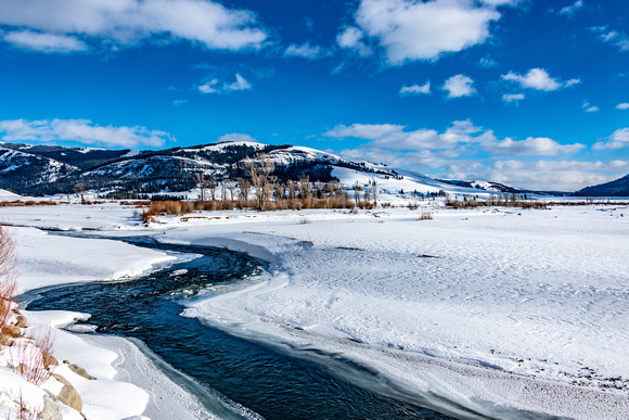 Lamar River_Yellowstone in winter
