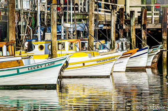 Fisherman's Wharf SF