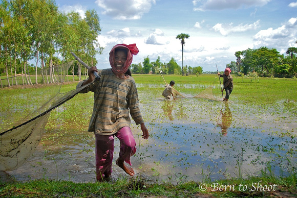 Farmers, Cambodia