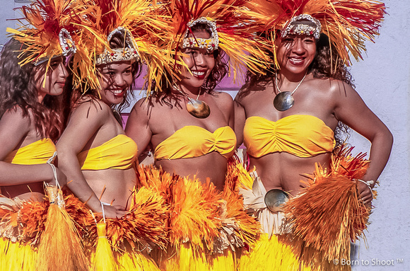 Hawaiian Dancers, Carnaval