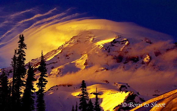 Mount Rainier, is the highest mountain of the Cascade Range