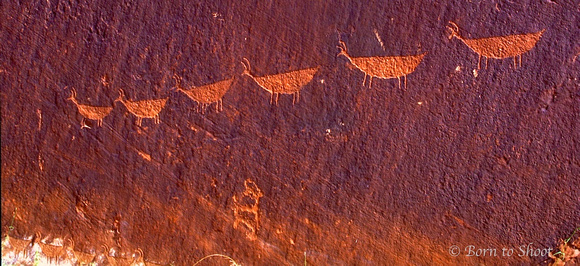 Petroglyphs along the Colorado River