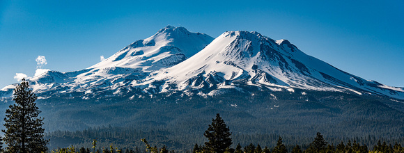 Mount Shasta