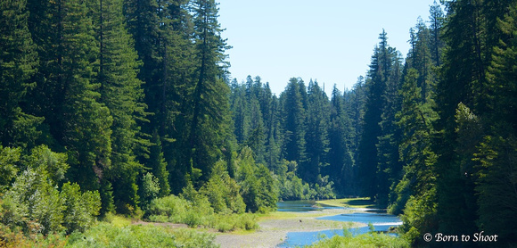 Eel River & Redwoods