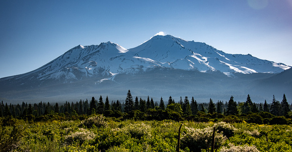 Mount Shasta