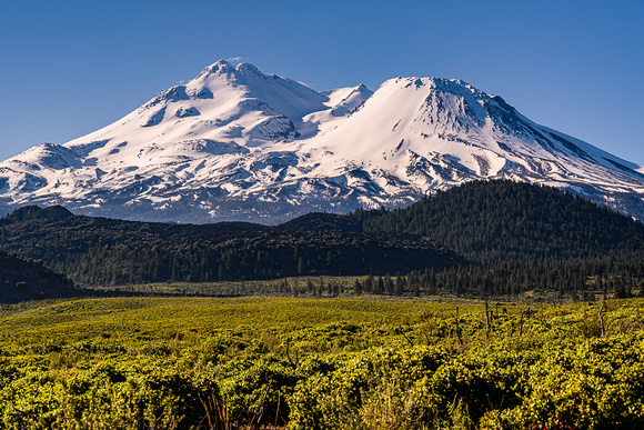 Mount Shasta