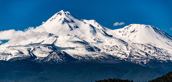 Mount Shasta