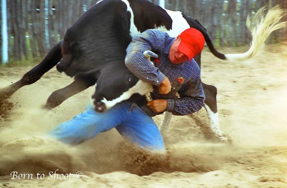 Steer wrestling, TX