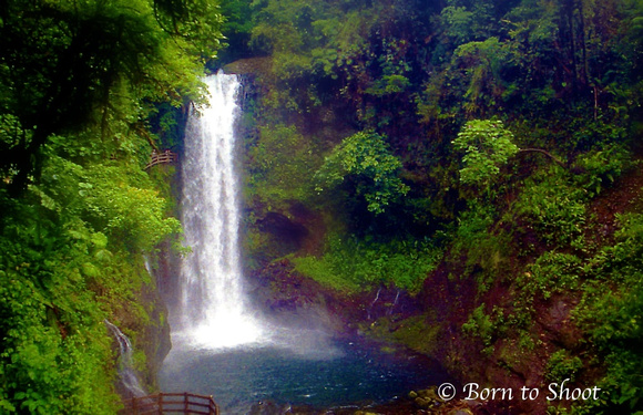 La Paz Waterfall Gardens_Costa Rica